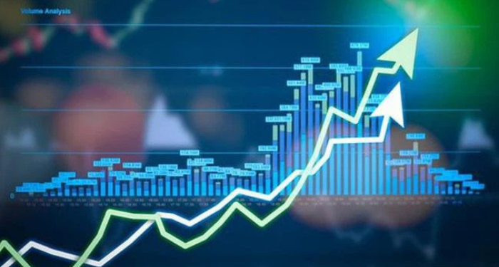 portfolio-trong-tai-chinh-la-gi