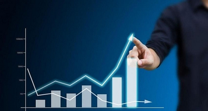 portfolio-trong-tai-chinh-la-gi